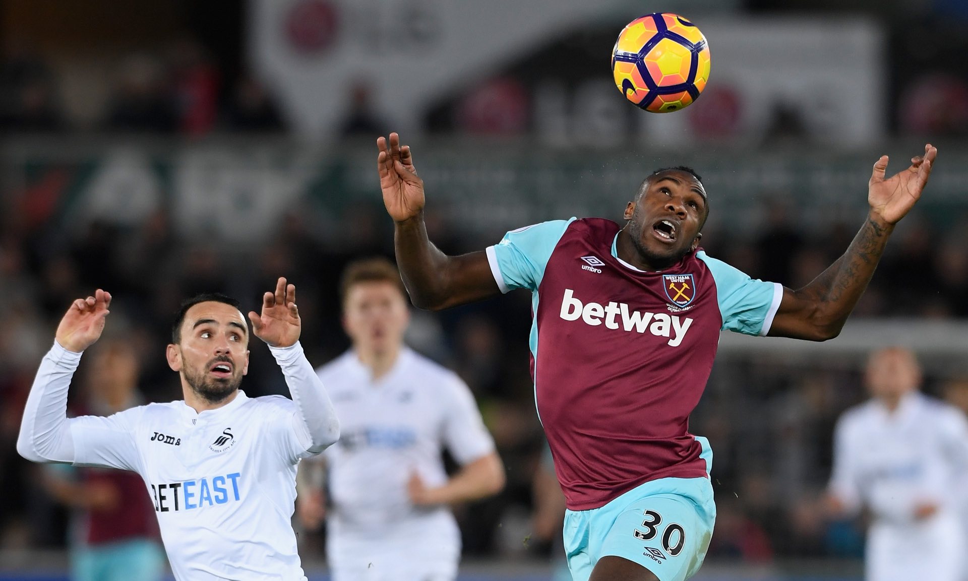 不仅拥有不 不仅拥有不